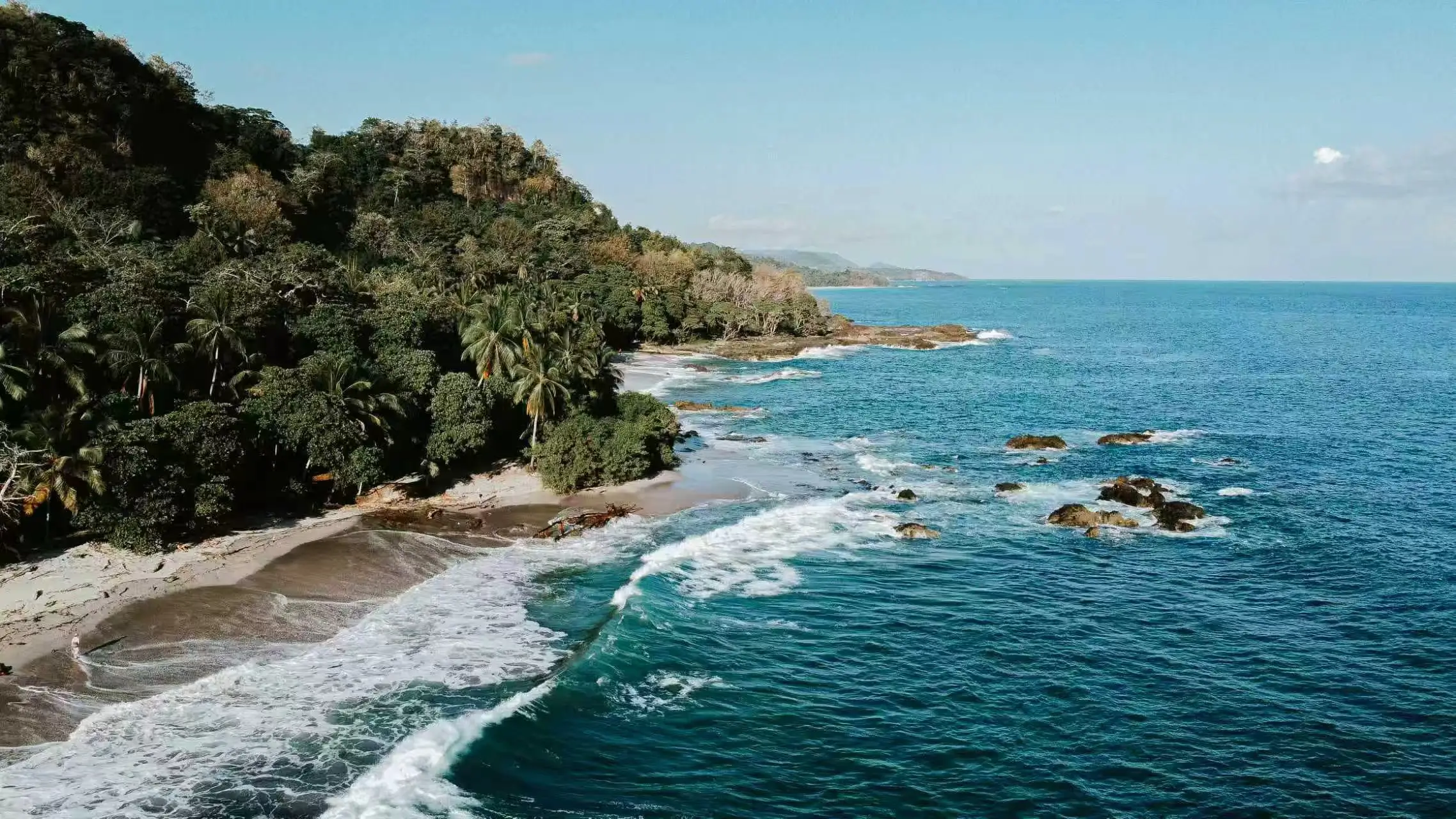 A stunning untouched beach in Costa Rica where the dense green tropical rainforest meets the crashing ocean waves.